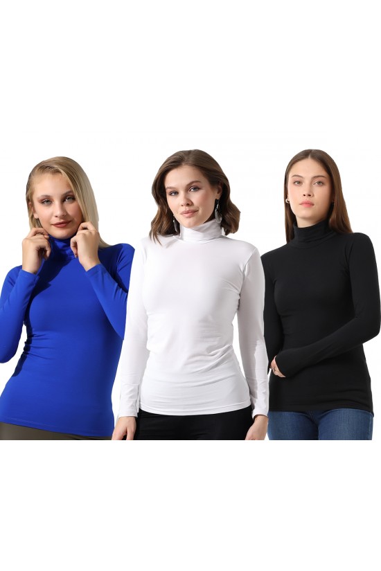 39833 - 3LÜ PAKET BAYAN UZUN KOL TAM BALIKCI YAKA BADY 39833 - 3LÜ PAKET BAYAN UZUN KOL TAM BALIKCI YAKA BADY