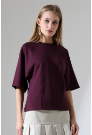 22152  KADIN SALAŞ REGLAN YARIM KOL ÖN VE ARKA BEDEN DİKEY PENSLİ BİSİKLET YAKA DOUBLEFAE YUMUŞAK DOKU  TSHIRT 